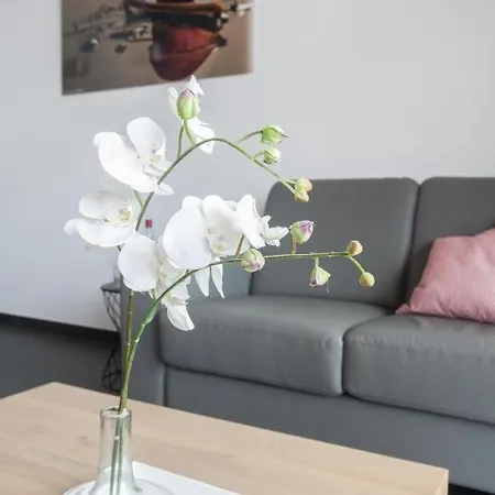 Luxus-appartement-winterberg Winterberg